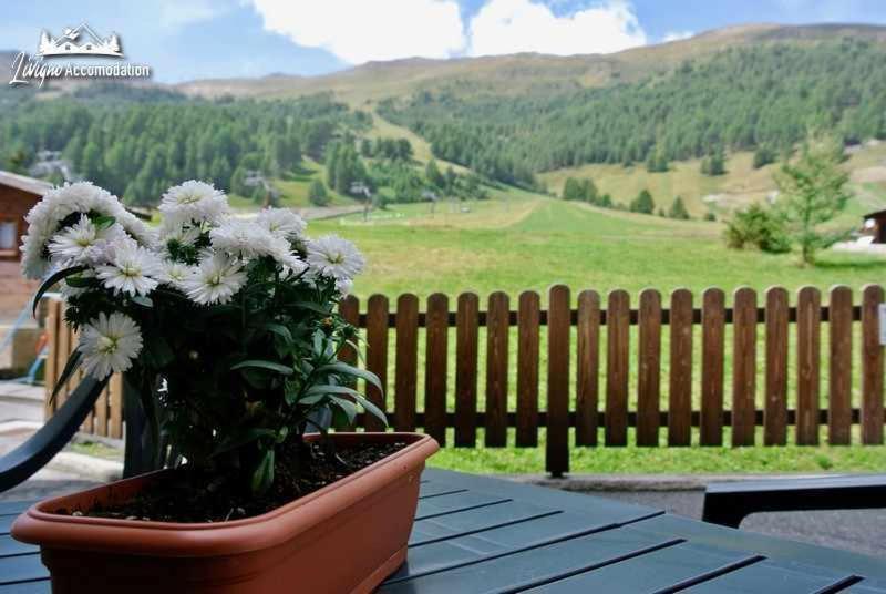 Baita Epi Cusini Vicinissimo alle piste da sci ed al campo da golf Livigno Esterno foto