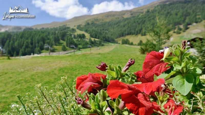 Baita Epi Cusini Vicinissimo alle piste da sci ed al campo da golf Livigno Esterno foto